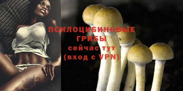 бутират Костерёво