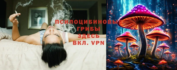 PSILOCYBIN Абаза