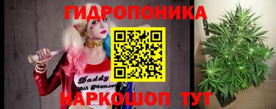 твердый Новокубанск