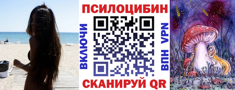Псилоцибиновые грибы Cubensis  гидра ТОР  Ступино  продажа наркотиков 