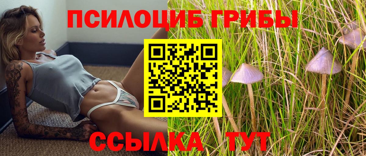 Псилоцибиновые грибы мухоморы  Псилоцибиновые грибы Magic Shrooms  Ступино  закладка  Вход с VPN 